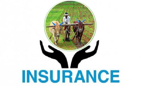 Insurance claims worth Rs 11.82 bn made for monsoon-induced disasters